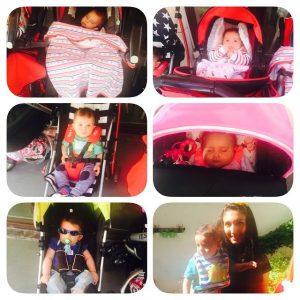 11391348_10153373511023970_8243380422808697706_n